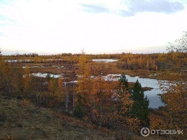 Экскурсия по г. Новый Уренгой (Россия, Ямало-Ненецкий АО) фото