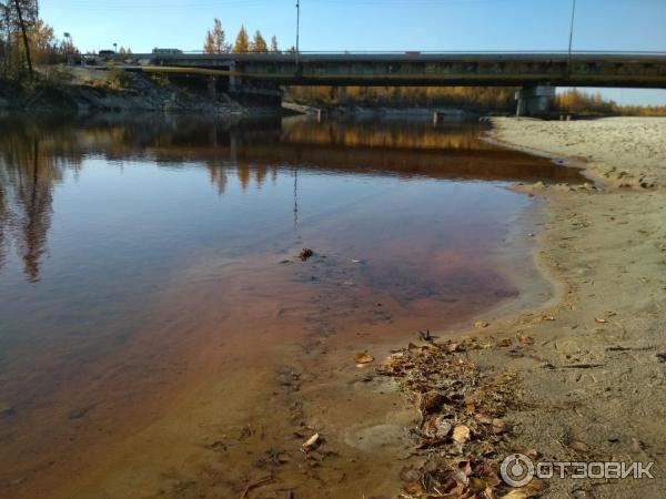 Экскурсия по г. Новый Уренгой (Россия, Ямало-Ненецкий АО) фото
